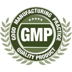GMP
