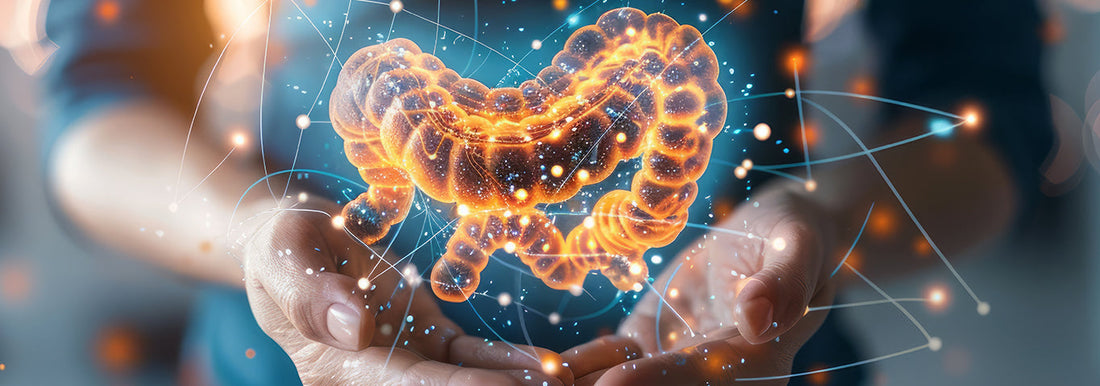 Constipation Awareness Month: A Reminder To Take Care of Your Gut