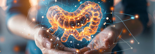 Constipation Awareness Month: A Reminder To Take Care of Your Gut