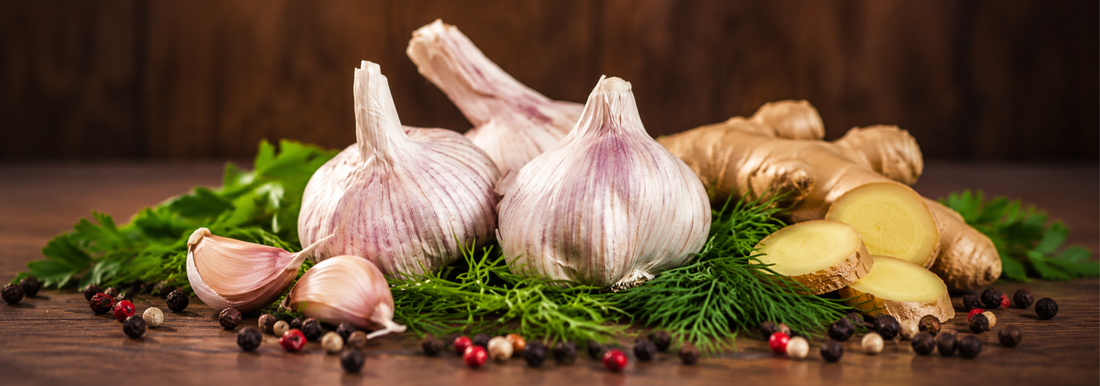 Three Botanicals, Multiple Pathways: The Molecular Science of Ginger, Garlic, and Pepper