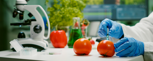 Hidden chemicals in processed foods affecting health and wellness