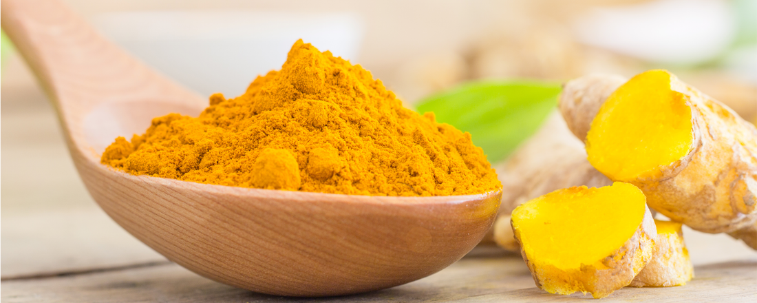 Golden turmeric root and curcumin powder for natural health and wellness