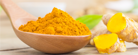 Golden turmeric root and curcumin powder for natural health and wellness