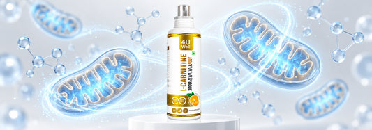 The L - Carnitine shuttle: The hidden transport system behind fat metabolism.