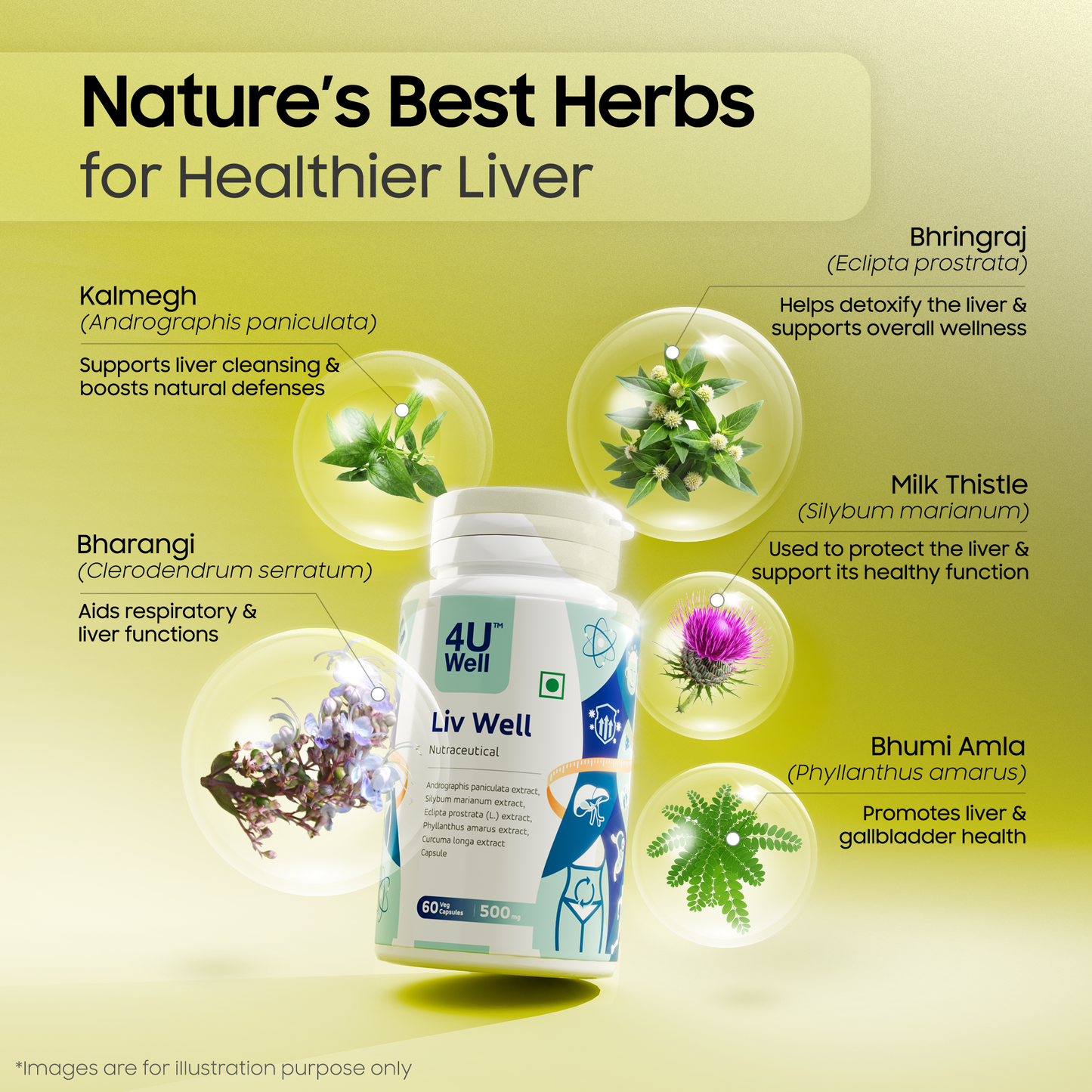 LIV Well: Ultimate Liver Protection & Detox Support | Antioxidants