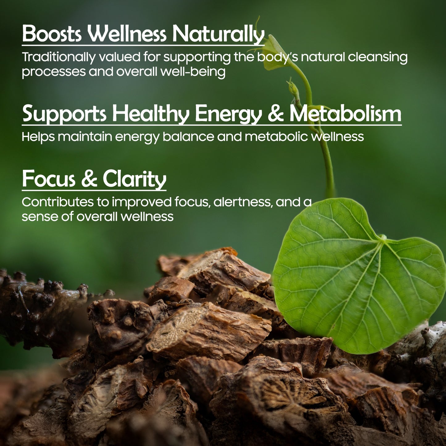 Guduchi Capsules – 500mg | Strengthens Immunity Wellness