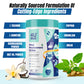 MEAL REPLACEMENT SHAKE - Fat Burn | Healthy Weight Loss | Gut Friendly