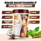MEAL REPLACEMENT SHAKE - Fat Burn | Healthy Weight Loss | Gut Friendly