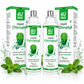 Liquid Chlorophyll : Natural Detox | 600mL