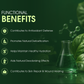 Liquid Chlorophyll : Natural Detox | 600mL