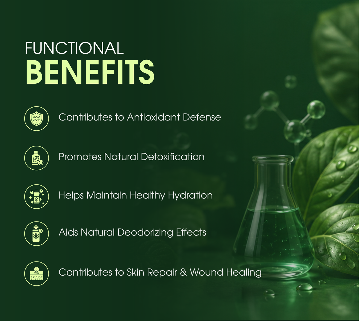Liquid Chlorophyll : Natural Detox | 600mL
