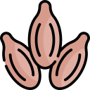 Jeera